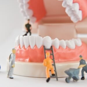 Image of a model of teeth and gums made to look like a giant mouth with contractors working to fix it - from left to right, there's a contractor simply watching, one who's inside the mouth, one who is climbing a ladder to get into the mouth, and the last one who is carrying something on a wheelbarrow