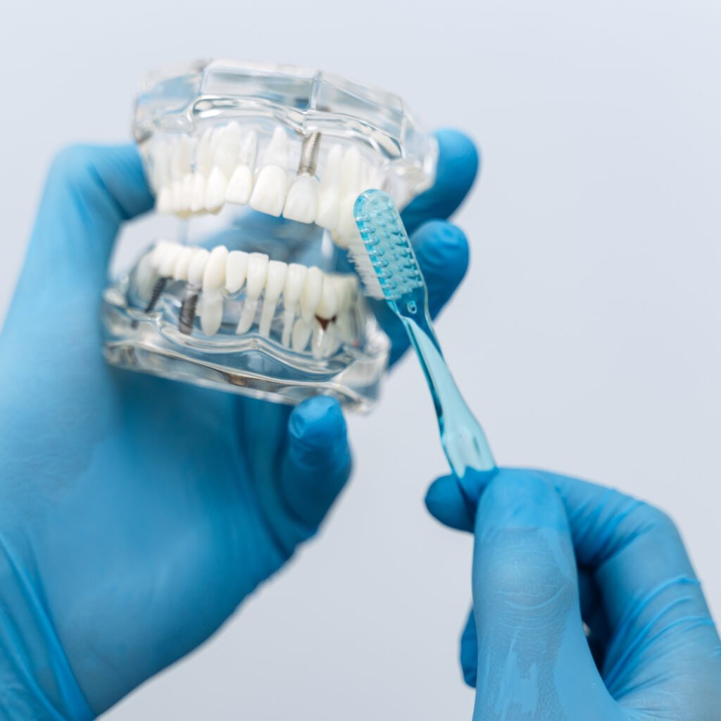 Image of a transparent teeth model being used to demonstrate how to brush