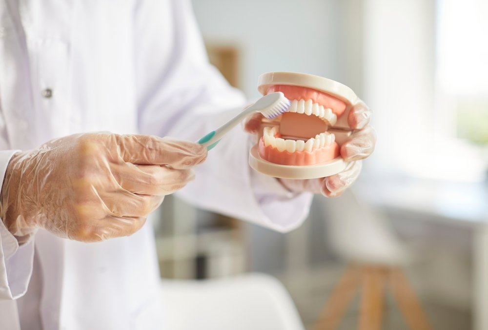 A dental hygienist wearing gloves demonstrates brushing teeth using a toothbrush and a dental model showing upper and lower teeth in a bright, clinical setting.